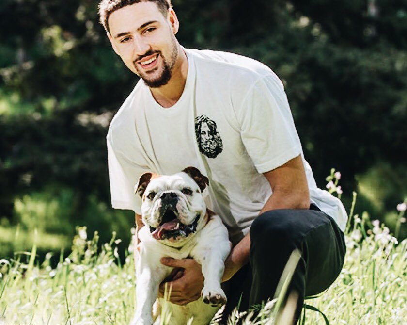 循环赢输出 循环赢输出